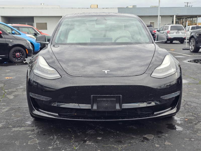 Tesla Model 3  2019