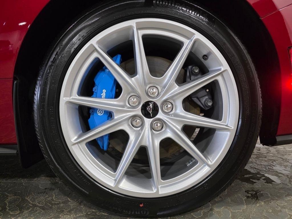 Ford Mustang GT Premium Coupe 2024