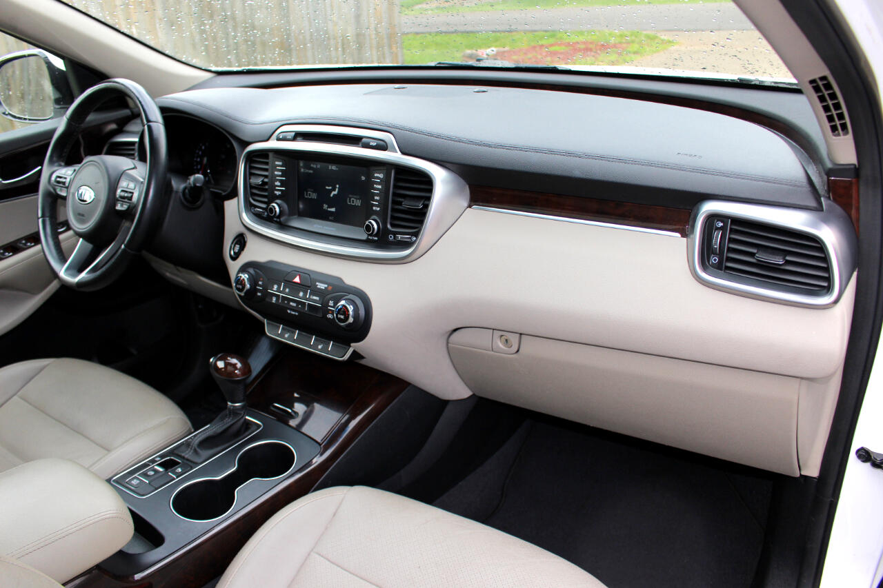2017 Kia Sorento EX V6 photo 44