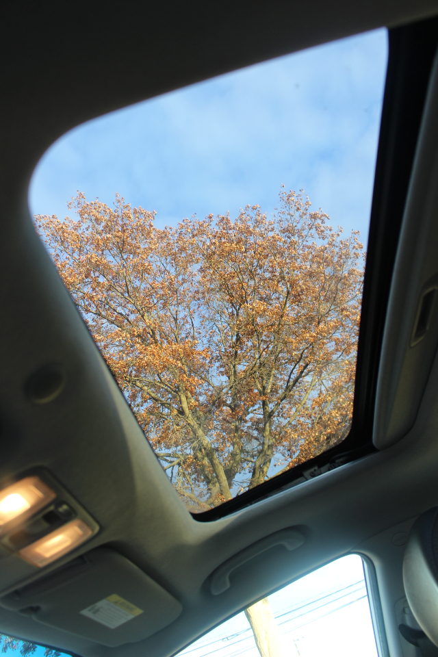 Hyundai Elantra SE 2015