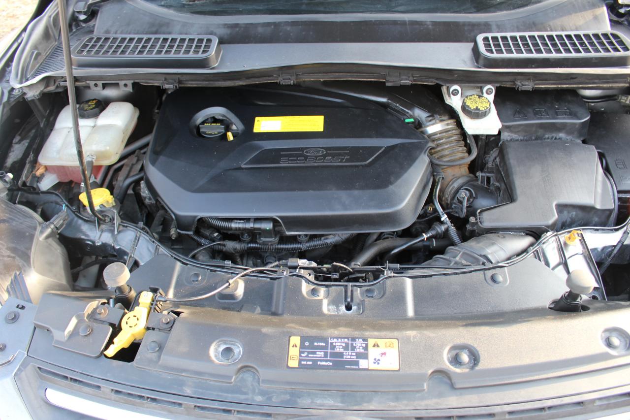 Ford Escape SE FWD 2016