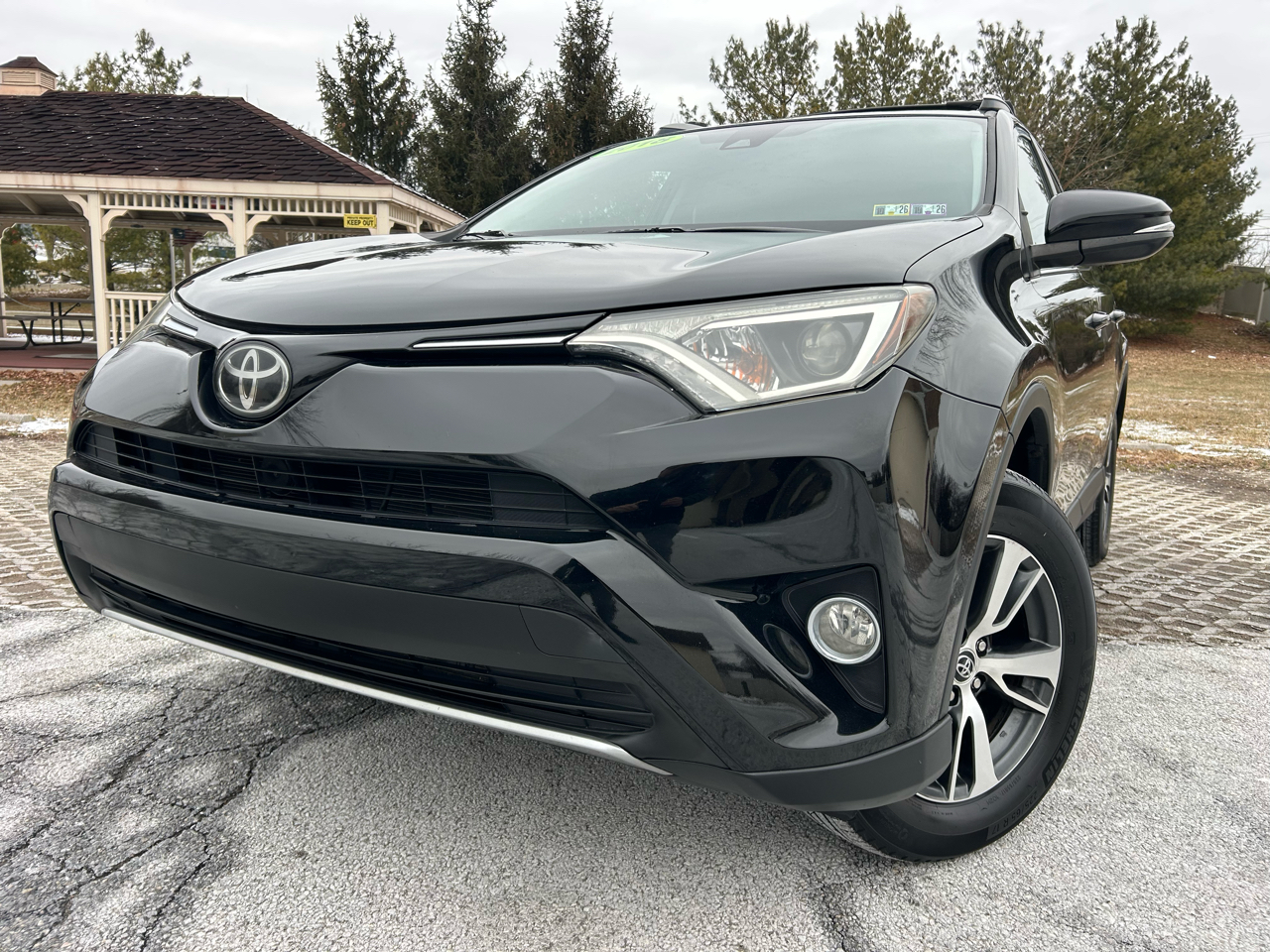 Toyota RAV4 XLE AWD (Natl) 2018