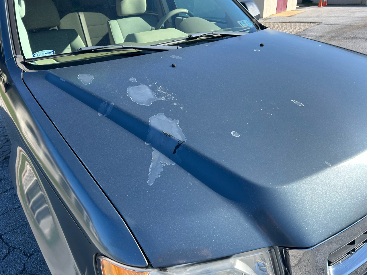 Ford Escape 4WD 4dr XLT 2012