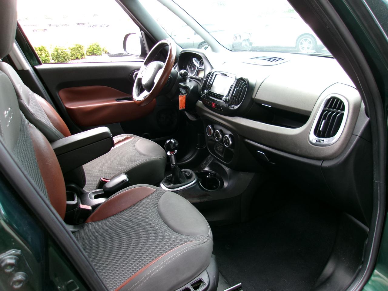 2014 FIAT 500L Trekking - Photo 53