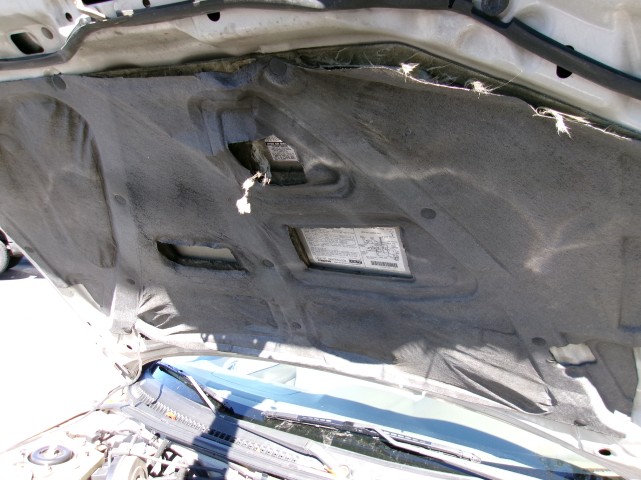 Mazda Protege DX 2001