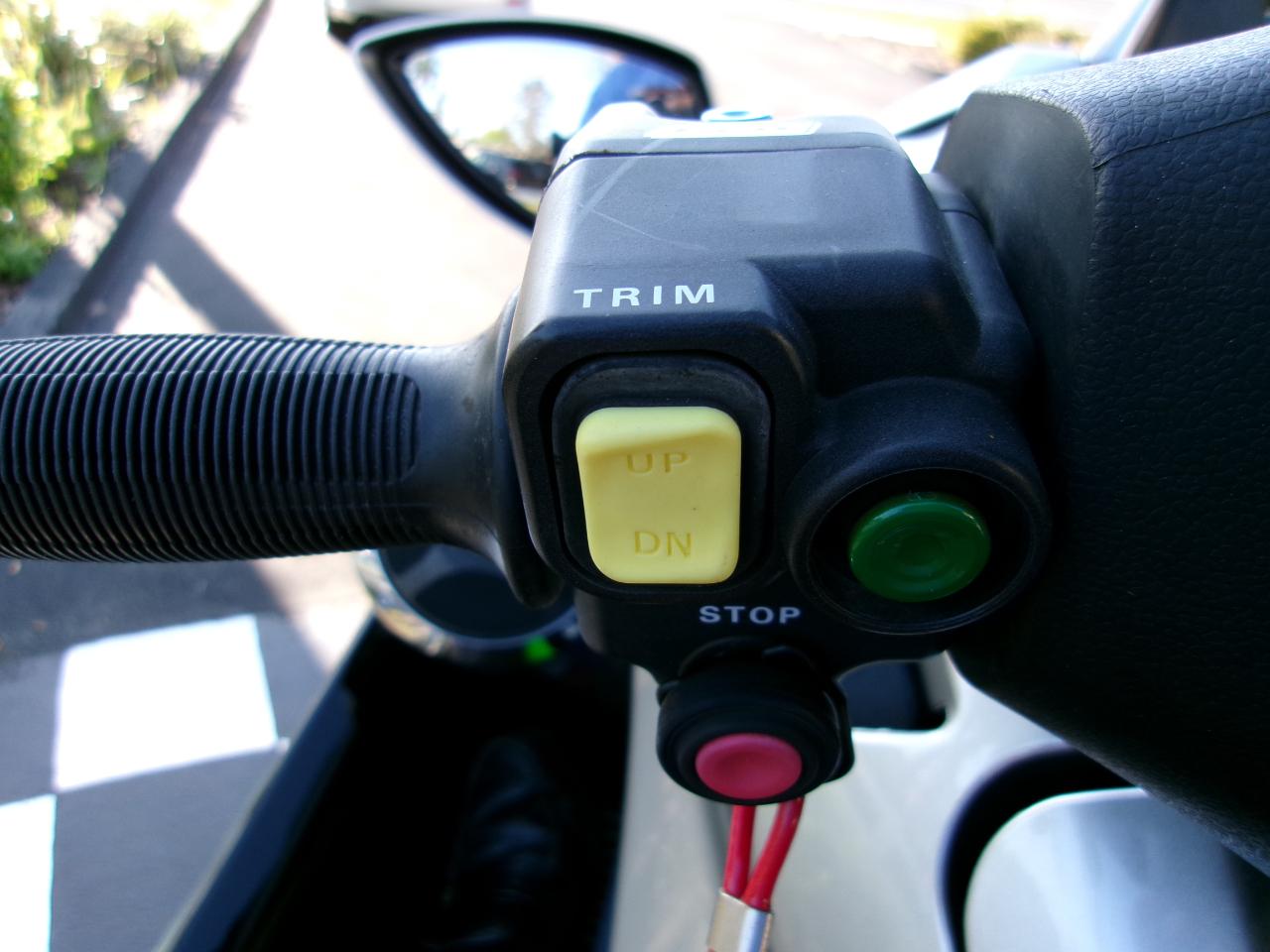 Kawasaki Ultra 310  2021