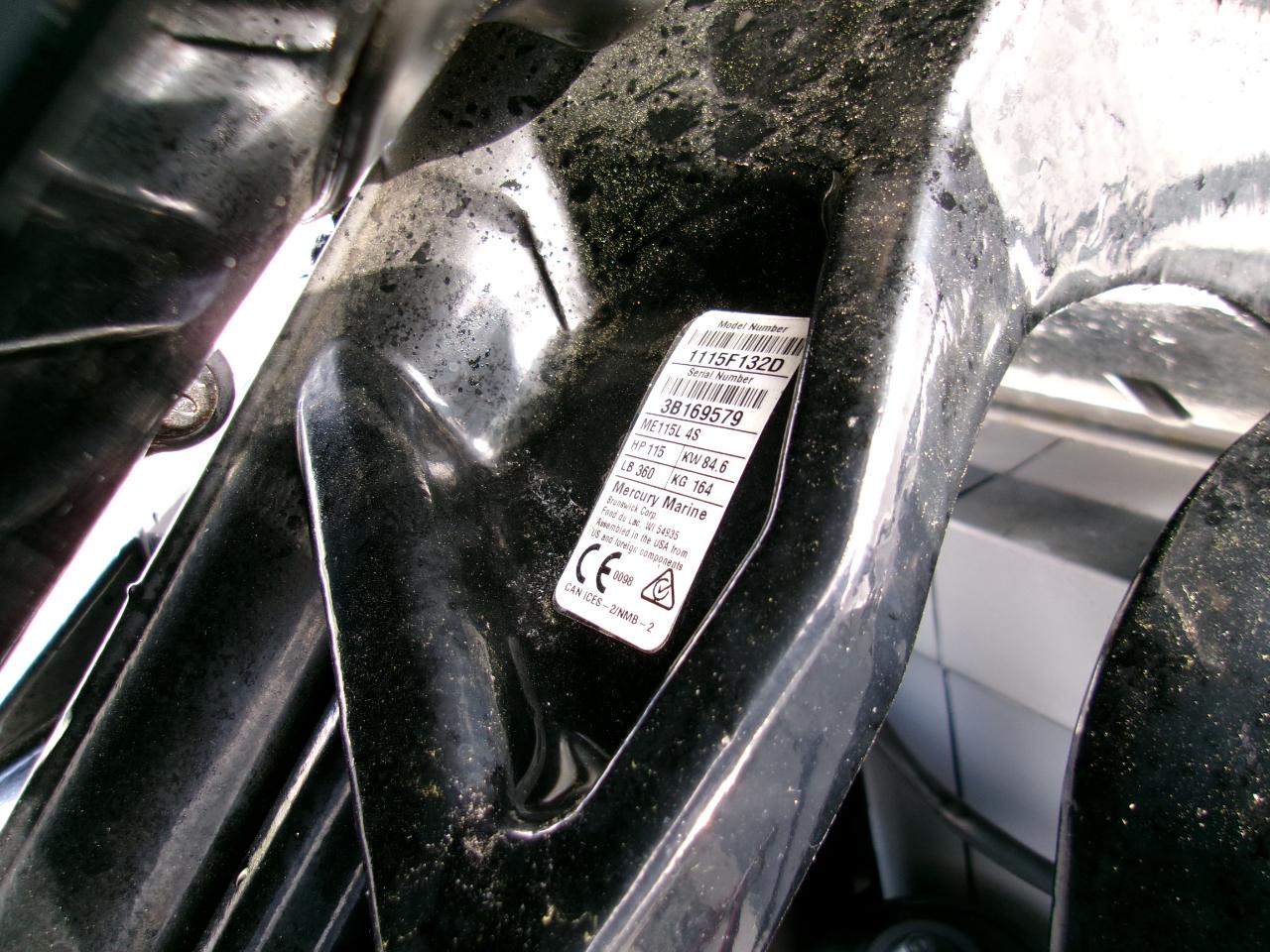 Bayliner Element  2022