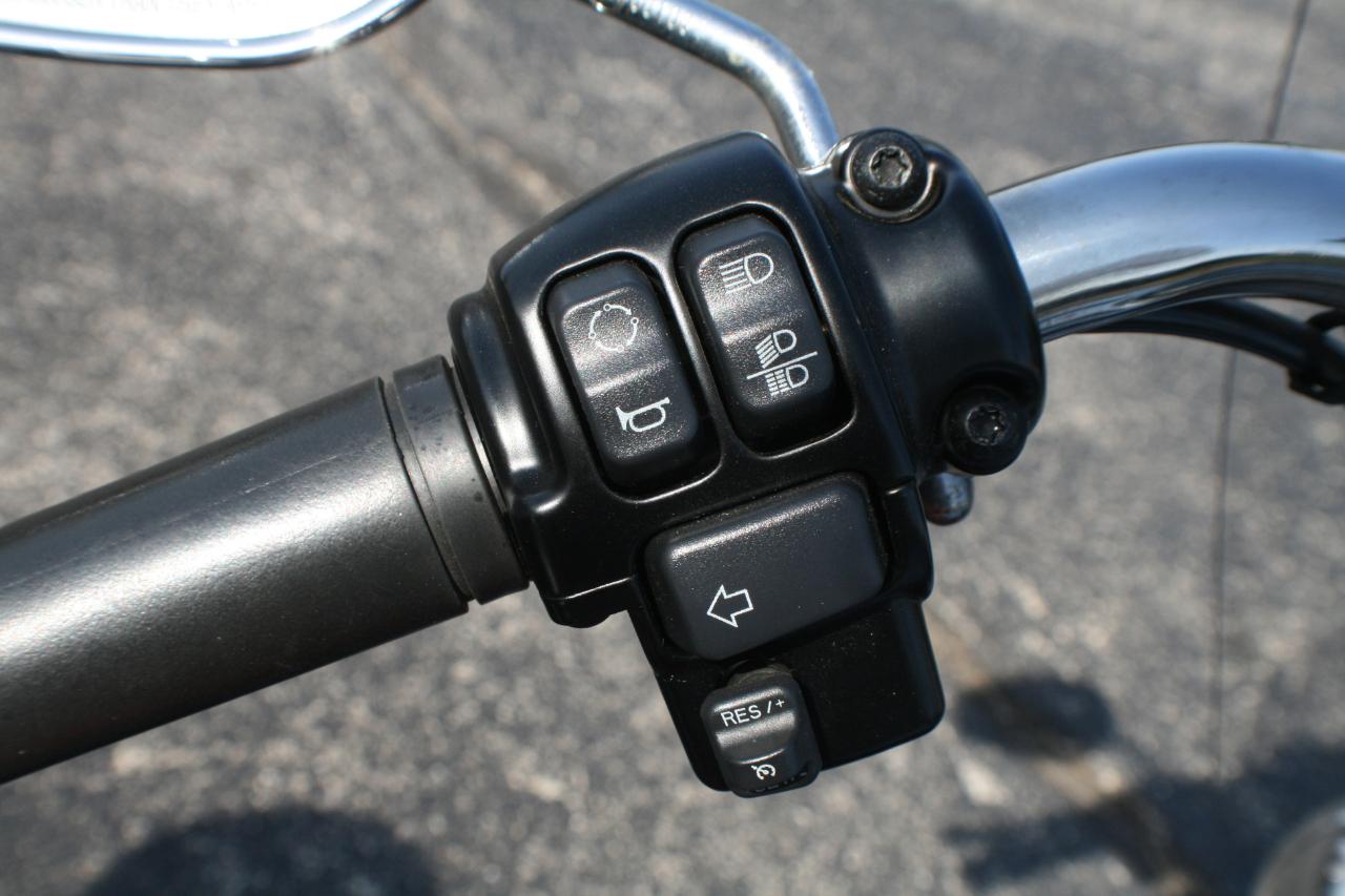 Harley-Davidson FLSTC103  2017