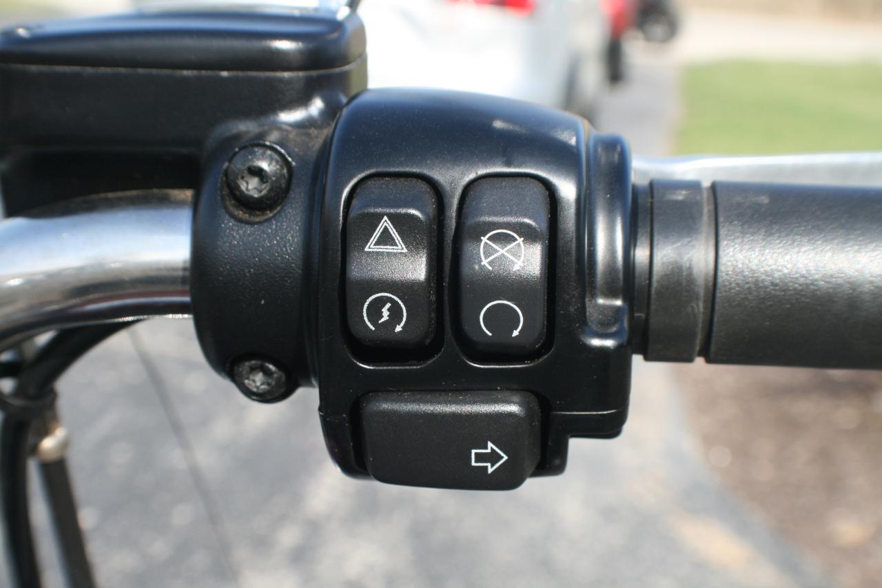 Harley-Davidson FLSTC103  2017