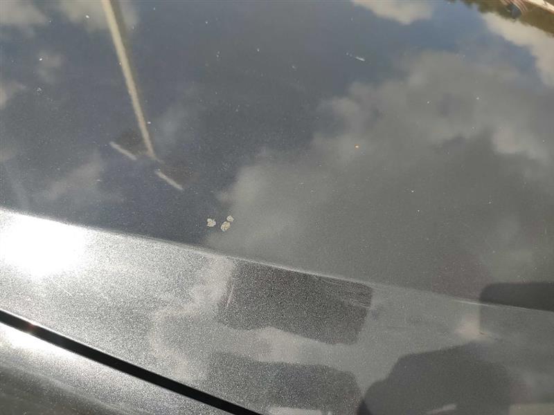 Subaru Impreza  2009