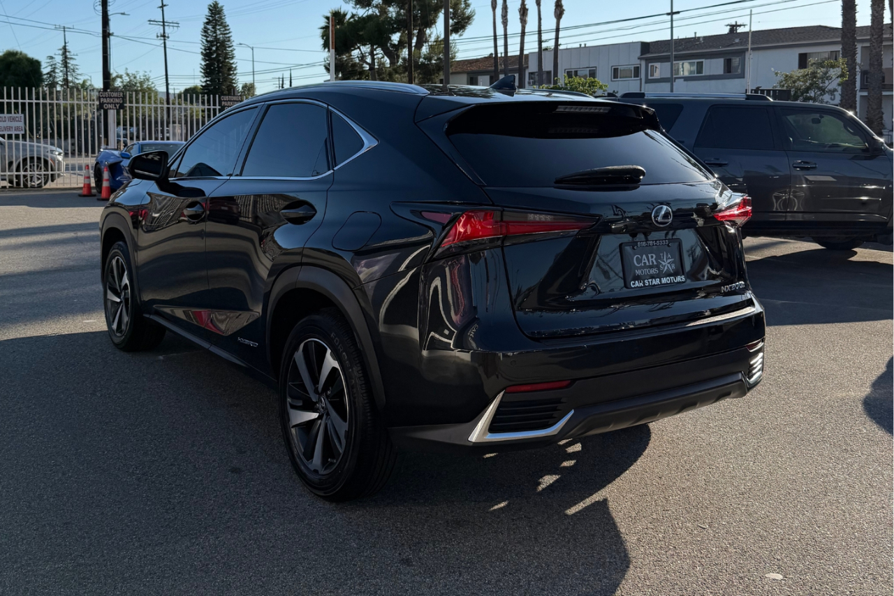 2021 Lexus NX 300h Premium photo 6