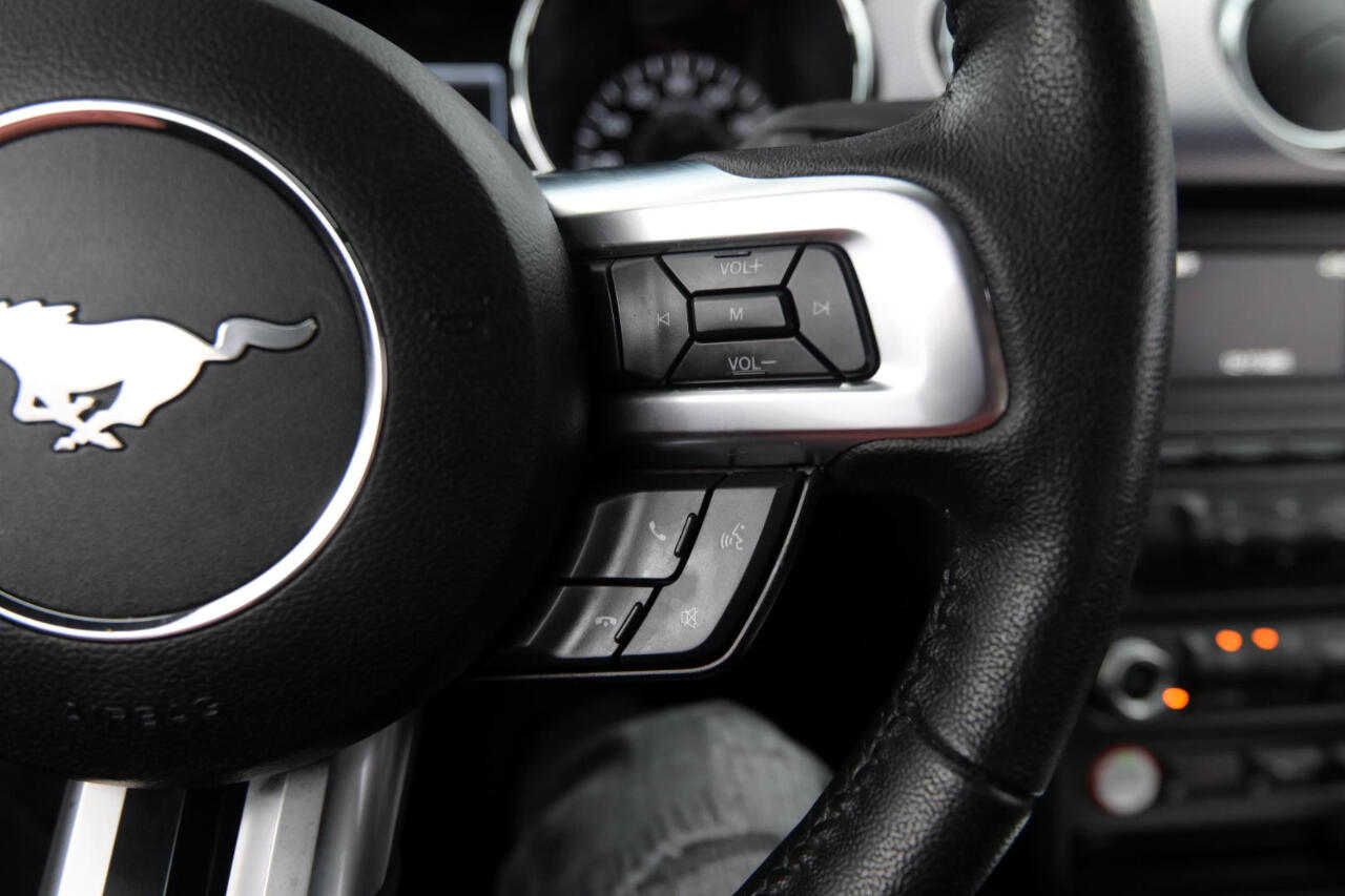 Ford Mustang EcoBoost Fastback 2017