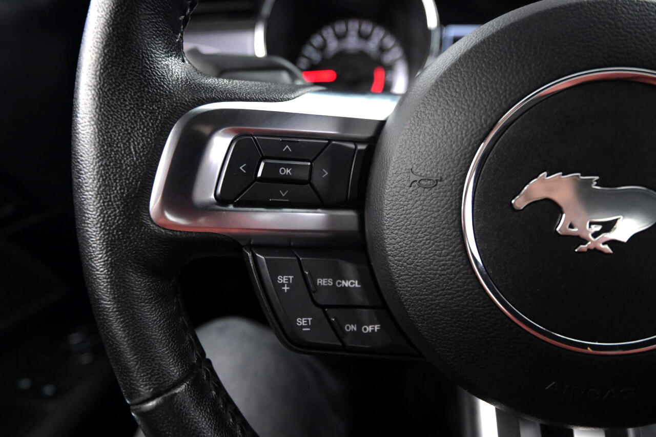 Ford Mustang EcoBoost Fastback 2017