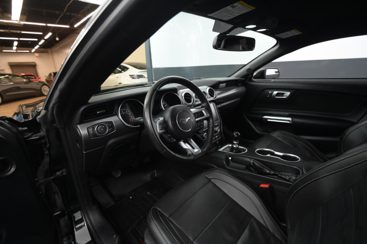 Ford Mustang GT Fastback 2018