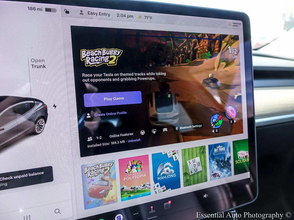 2021 Tesla Model 3 Long Range 4D Sedan AWD - Gray exterior view 13