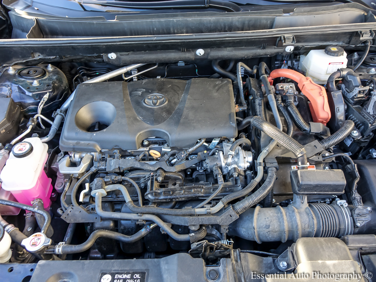 Toyota RAV4 Hybrid XLE 2024