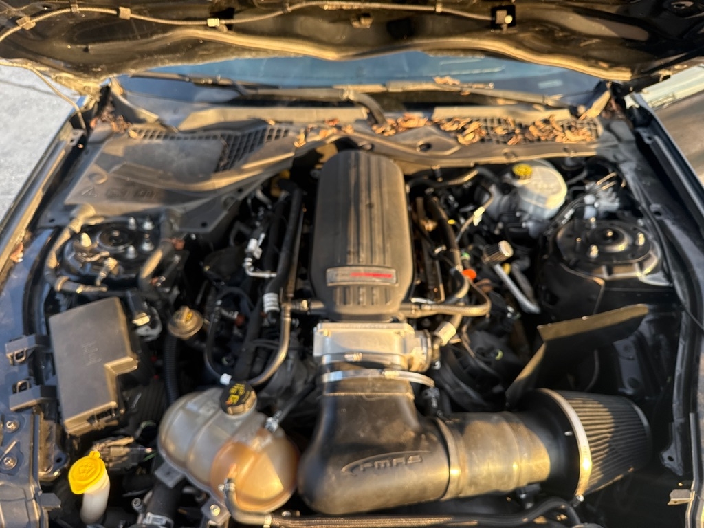 Ford Mustang GT Fastback 2018