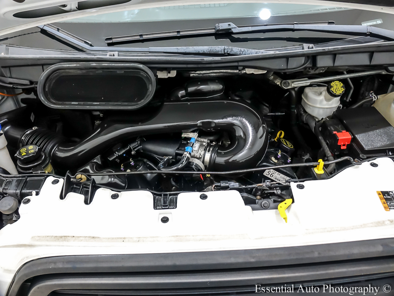 Ford Transit 250 Van Low Roof w/Sliding Pass. 148-in. WB 2019 Ford Transit 250 Van Low Roof w/Sliding Pass. 148-in. WB 2019