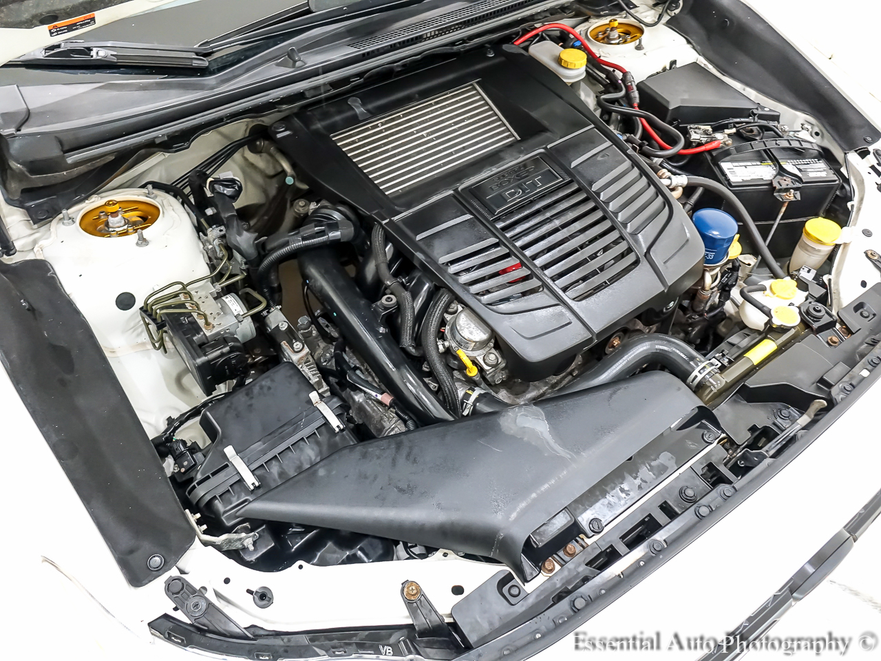 Subaru WRX Premium 2020