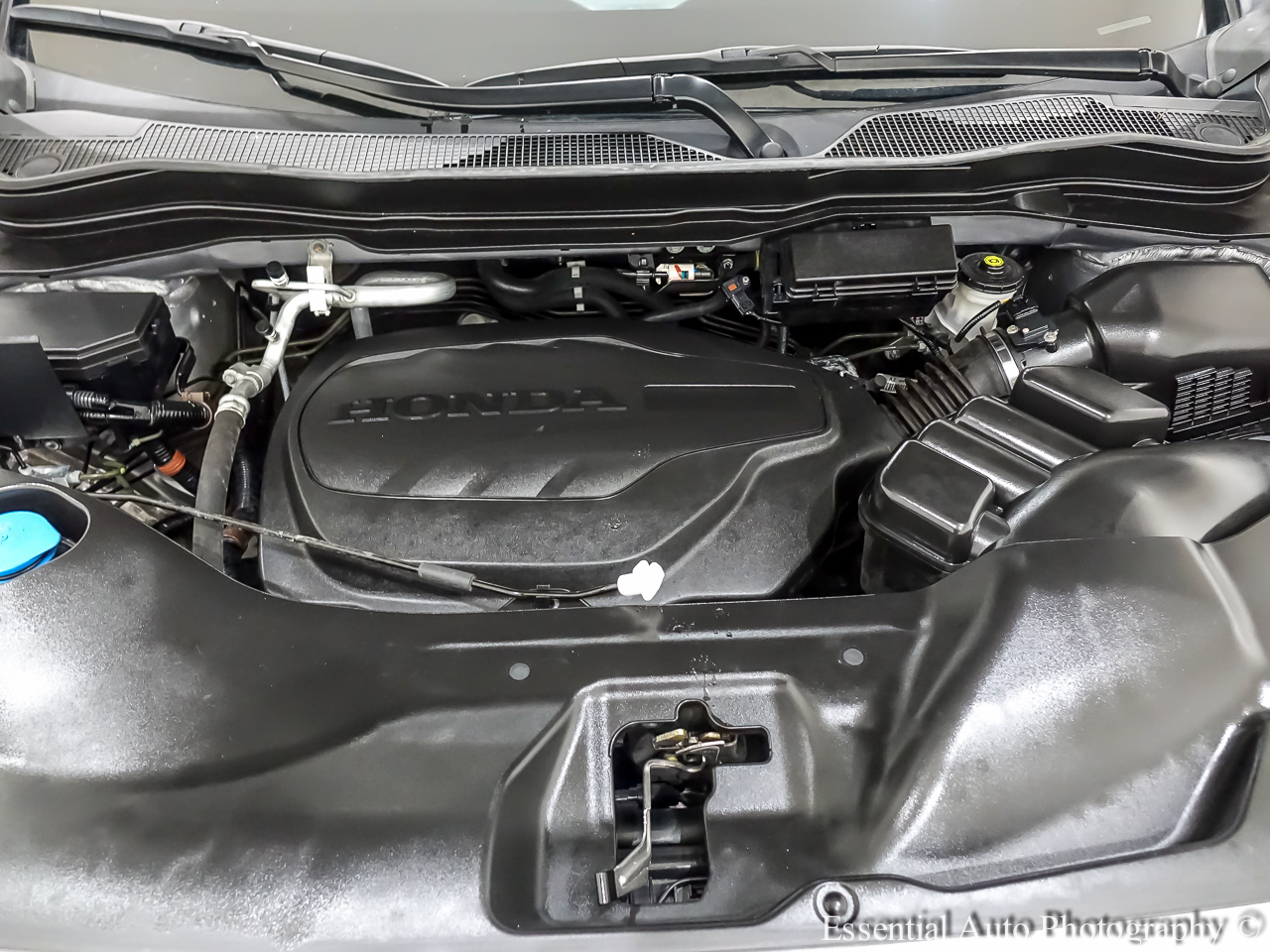 Honda Passport EX-L AWD 2022