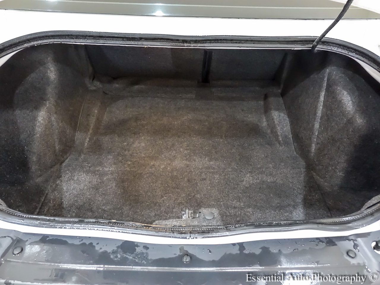 Dodge Challenger GT AWD 2021