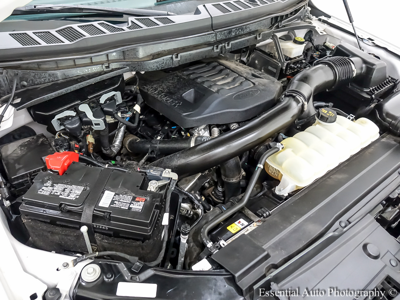 Ford F-150 Tremor 4WD SuperCrew 5.5' Box 2023