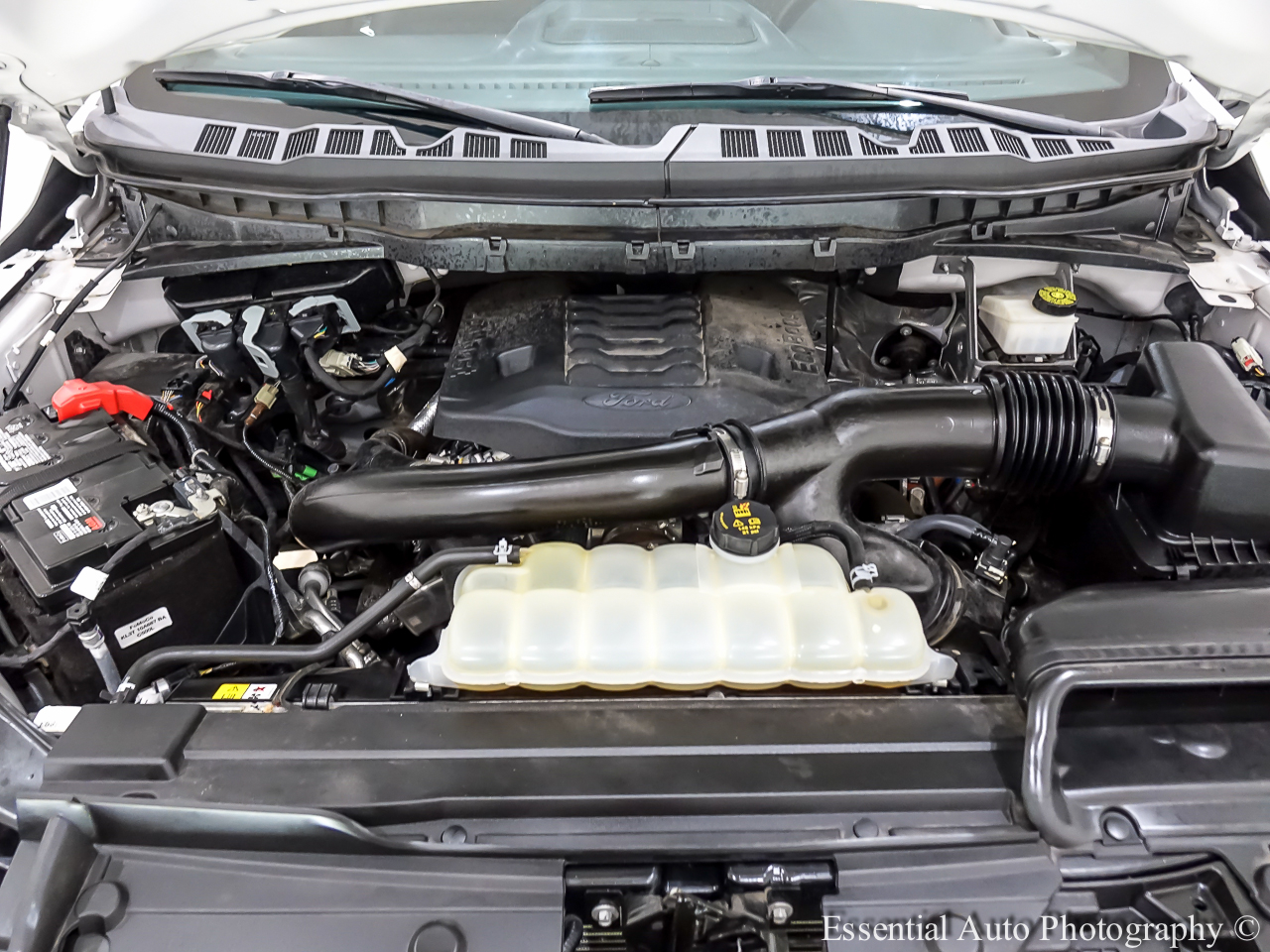 Ford F-150 Tremor 4WD SuperCrew 5.5' Box 2023