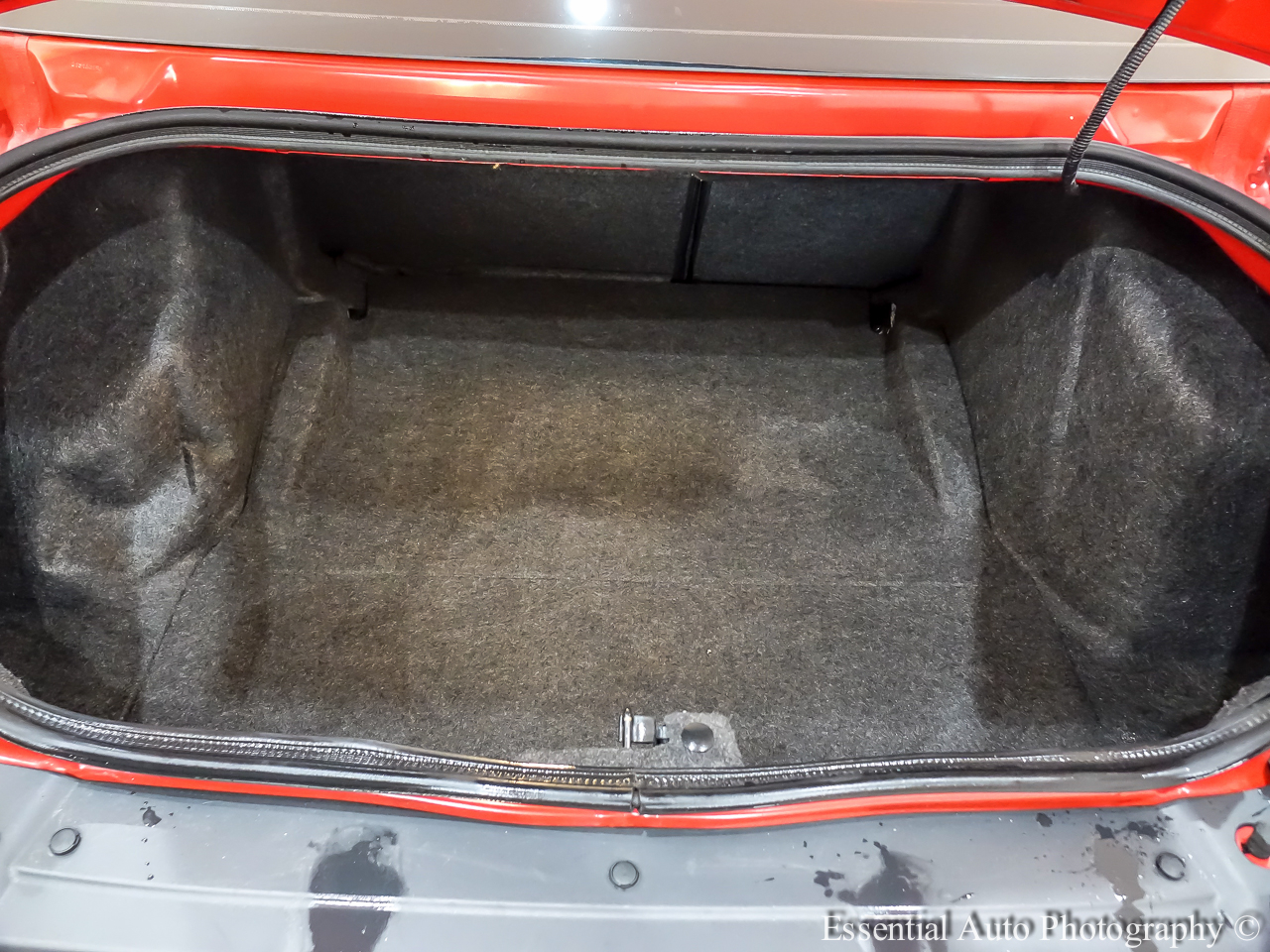 Dodge Challenger R/T Plus 2021