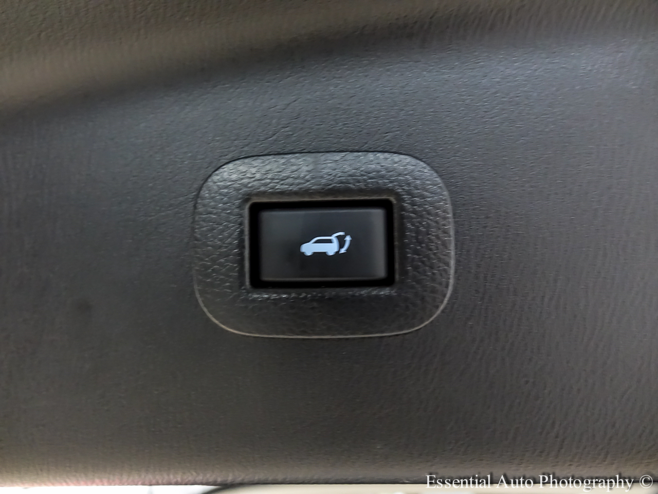 Infiniti QX80 PREMIUM SELECT 2024