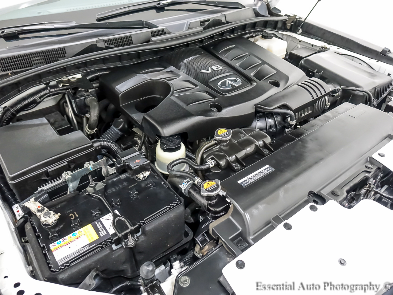 Infiniti QX80 PREMIUM SELECT 2024