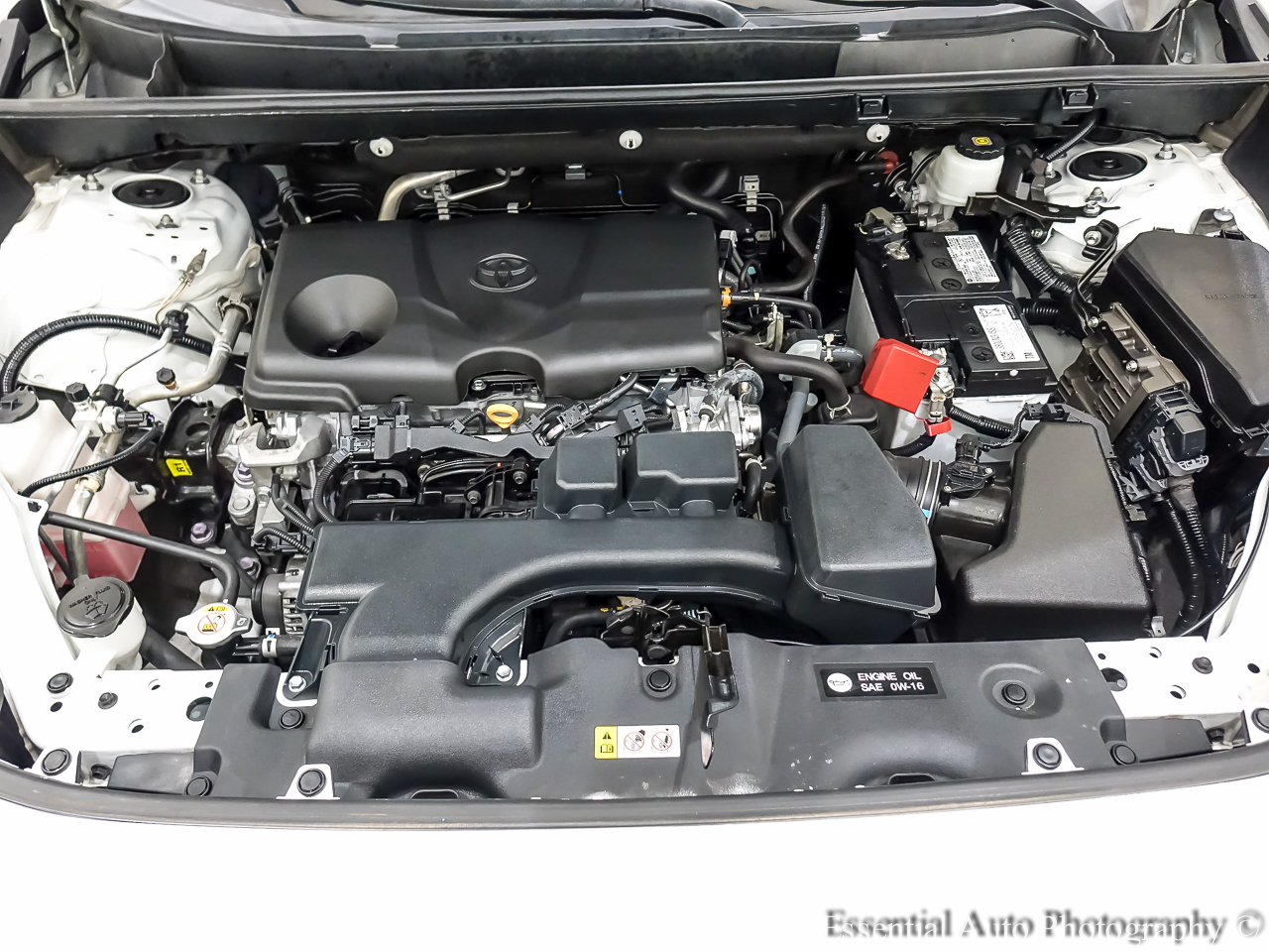 Toyota RAV4 XLE 2023