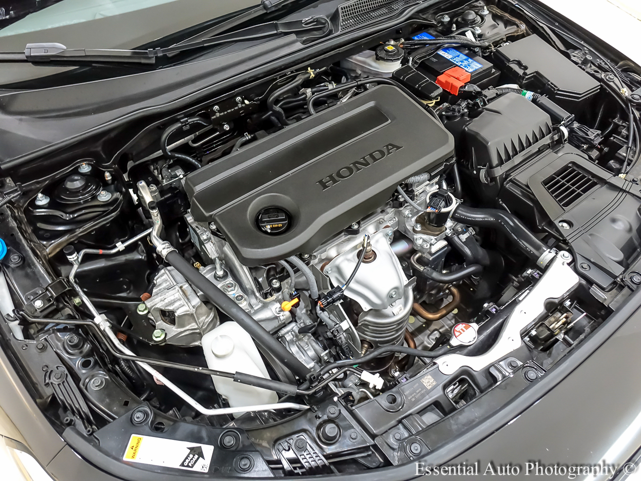 Honda Civic Sport 2025