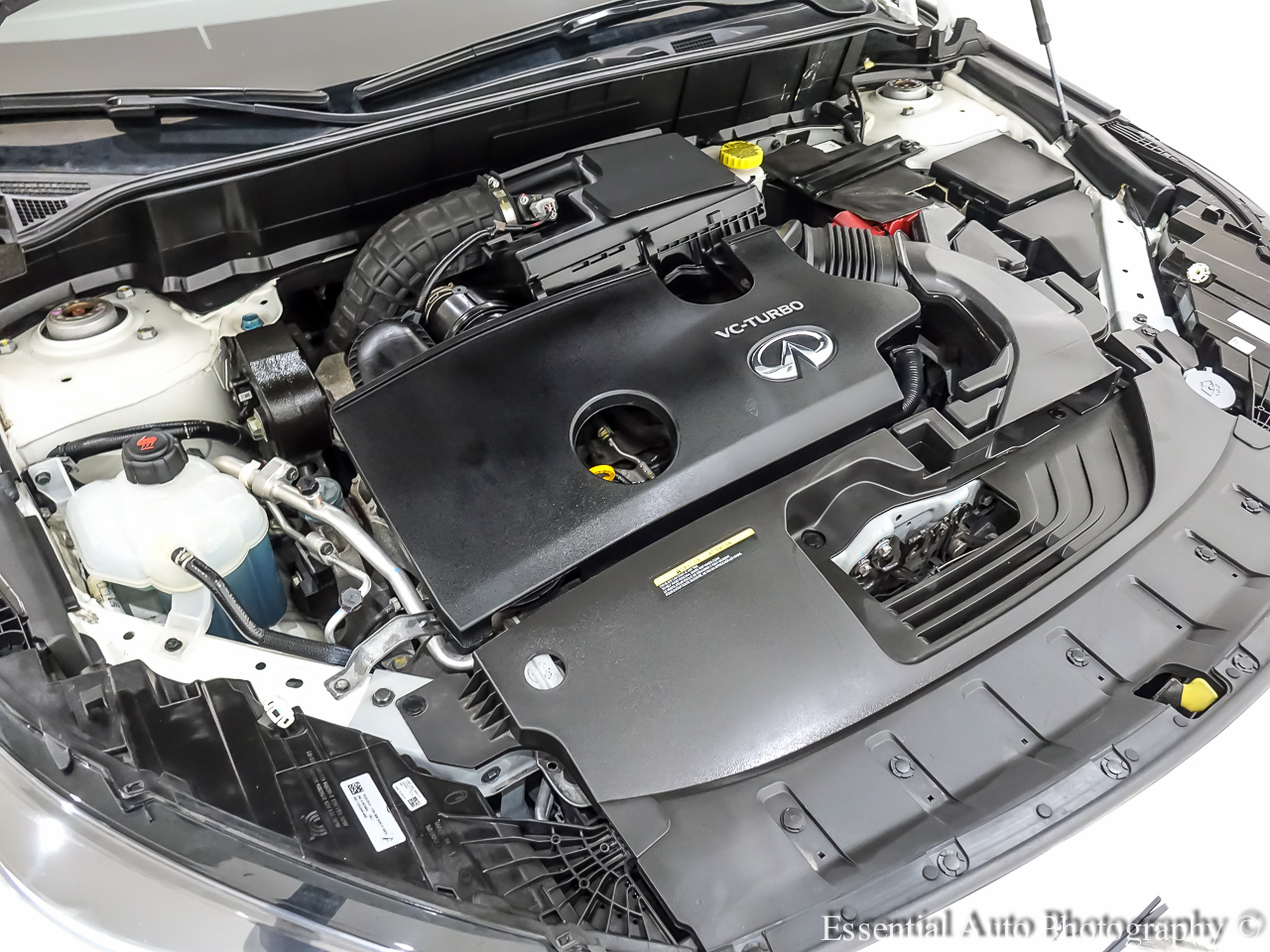 Infiniti QX55 LUXE 2023