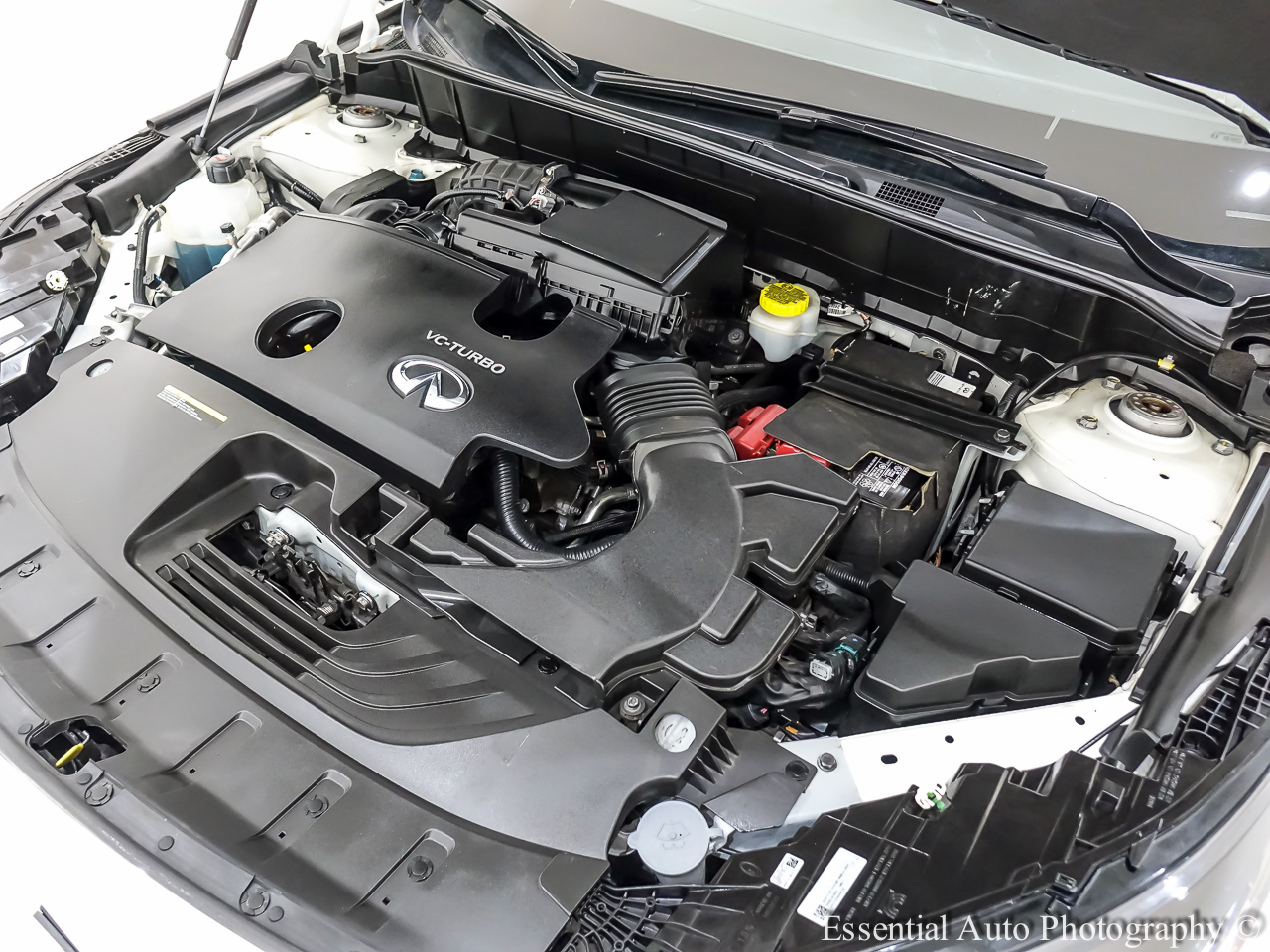 Infiniti QX55 LUXE 2023