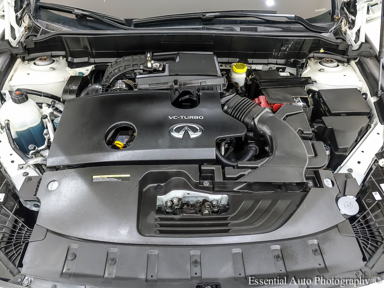 Infiniti QX55 LUXE 2023