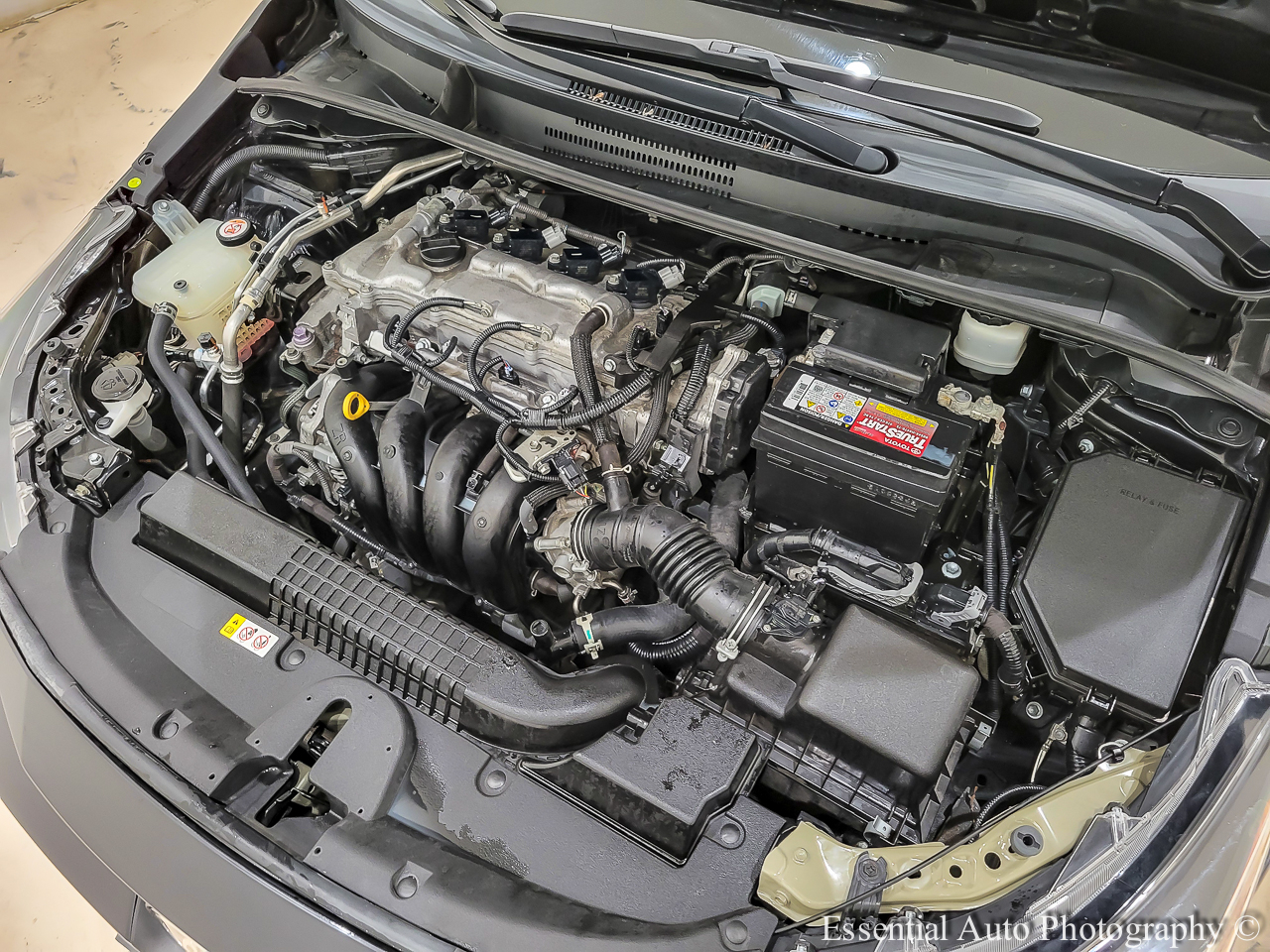 Toyota Corolla LE 2021