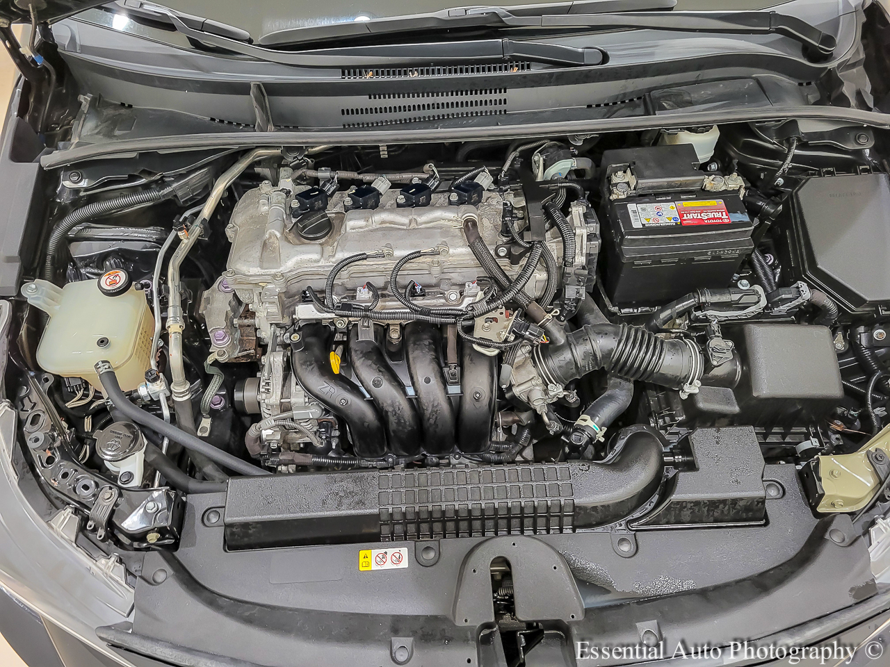 Toyota Corolla LE 2021