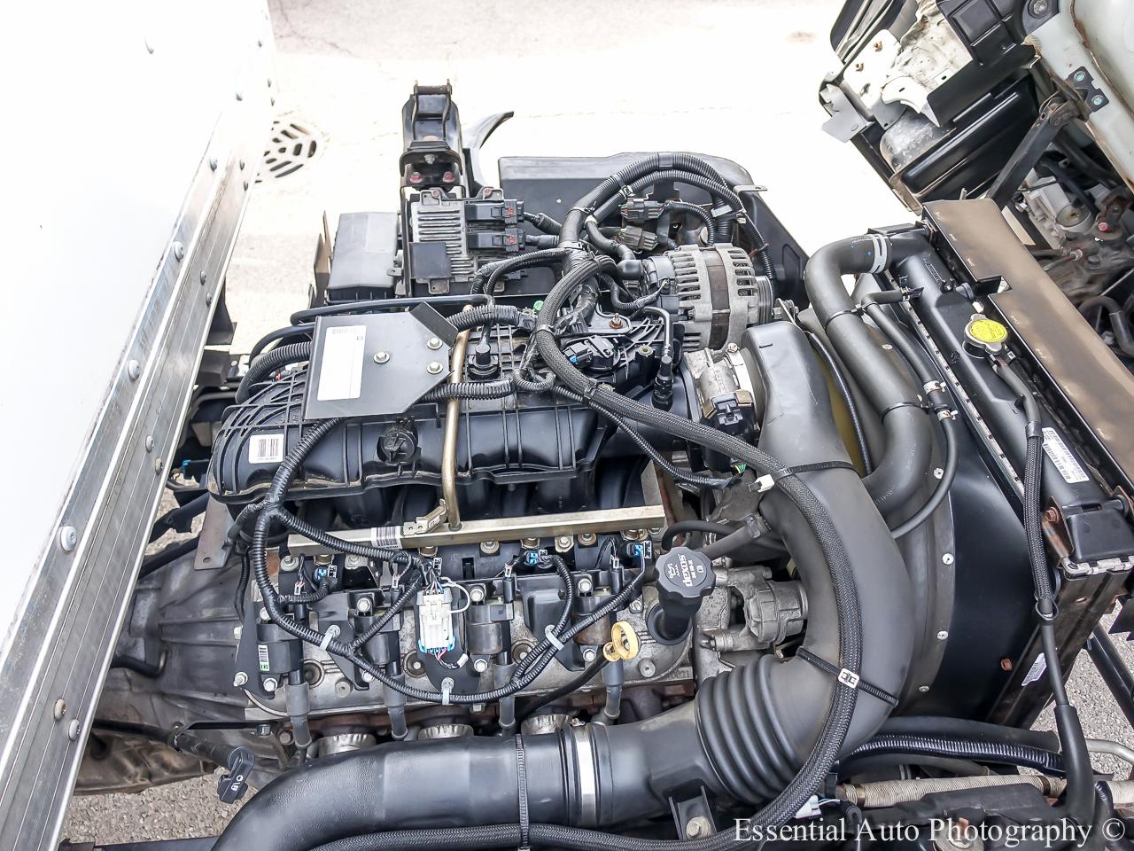 Isuzu NPR HD  2018