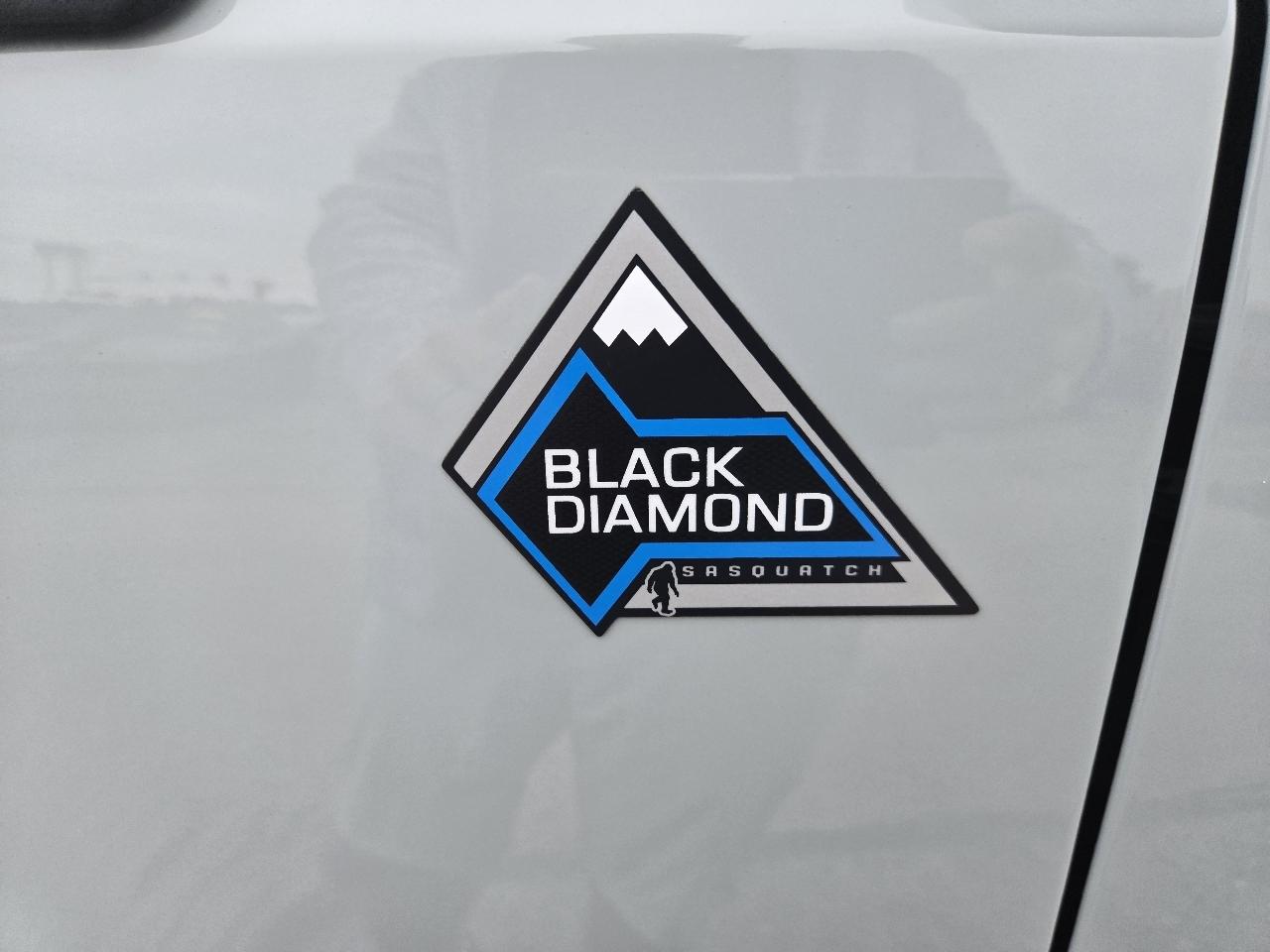 Ford Bronco Black Diamond 2 Door Advanced 4x4 2024