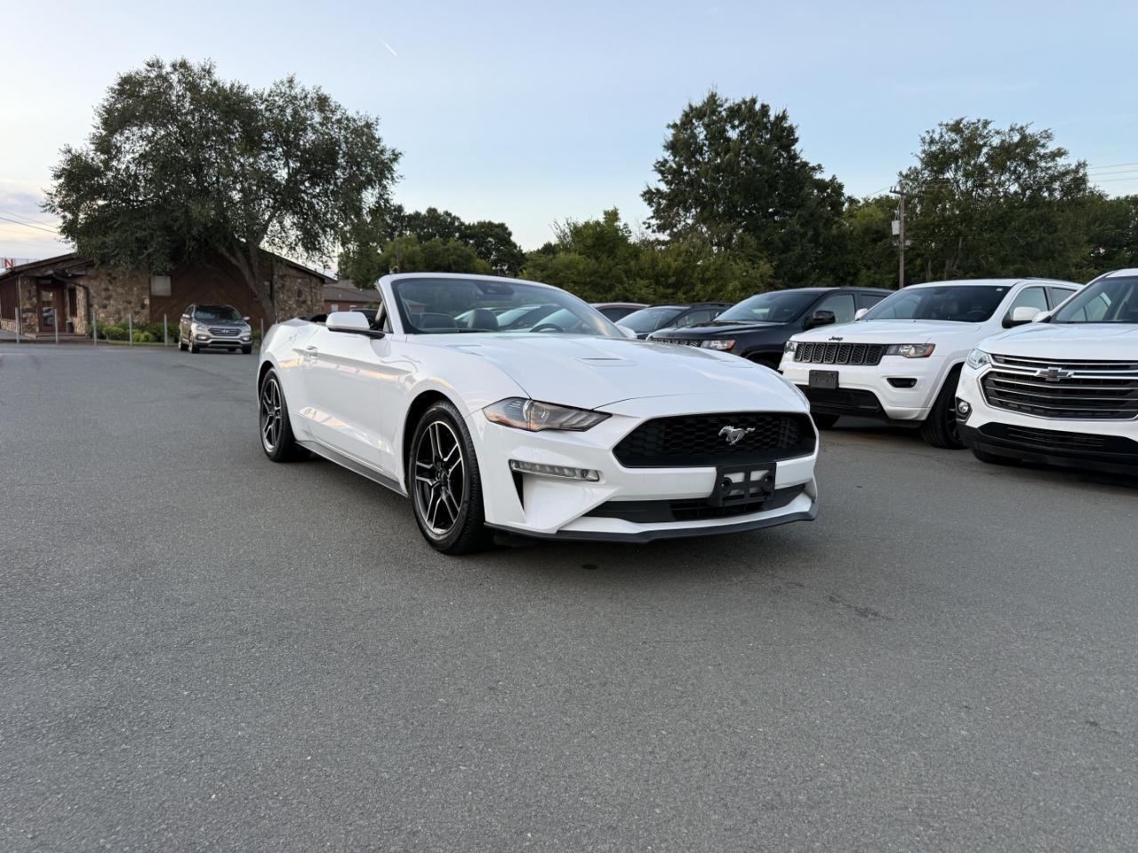 Ford Mustang EcoBoost Premium Convertible 2021