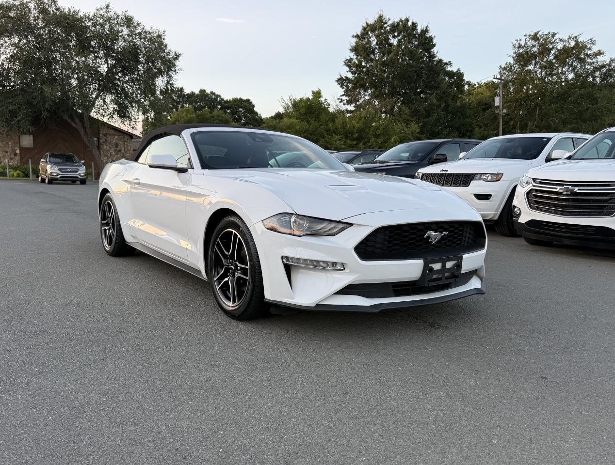 Ford Mustang EcoBoost Premium Convertible 2021