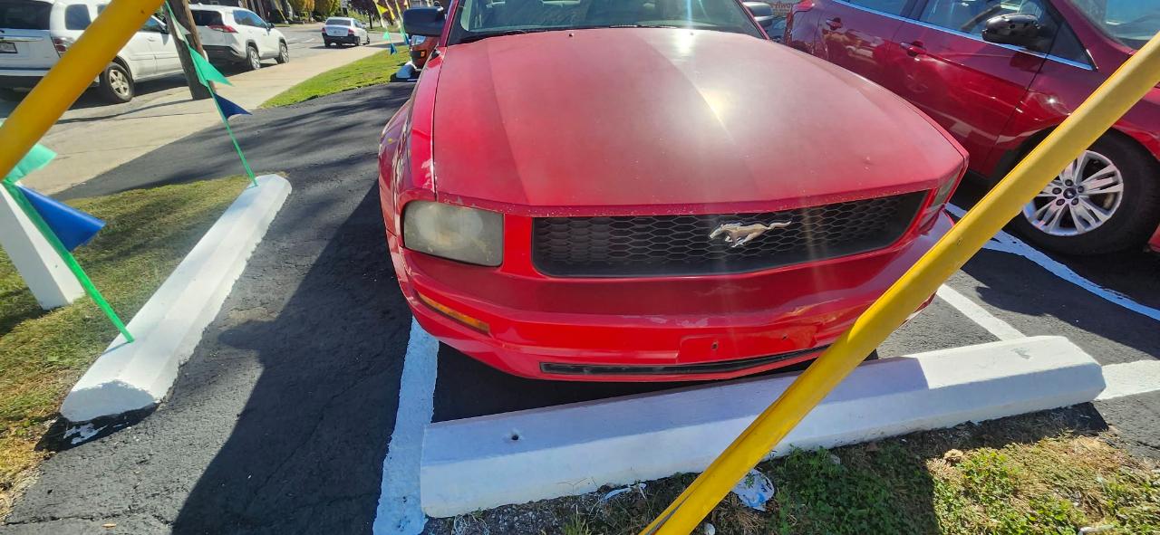 Ford Mustang V6 Premium Coupe 2008