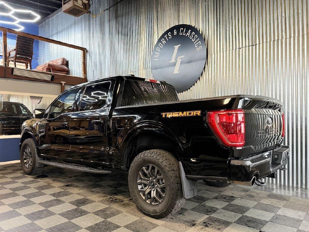 Ford F-150 Tremor SuperCrew 4WD 2023