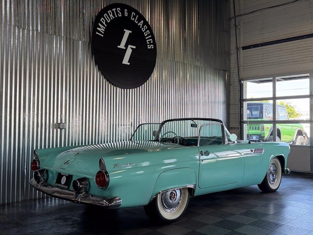Ford Thunderbird  1955