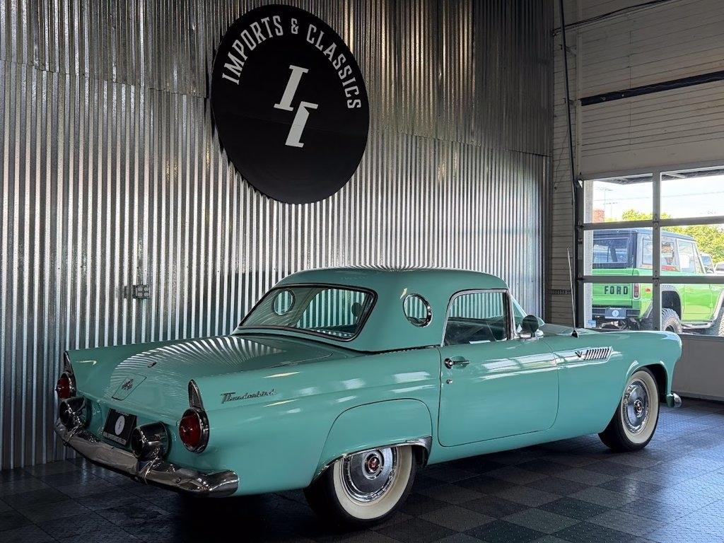 Ford Thunderbird  1955