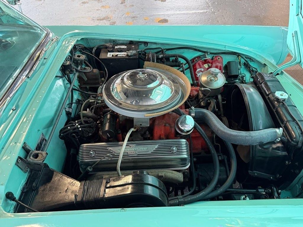 Ford Thunderbird  1955