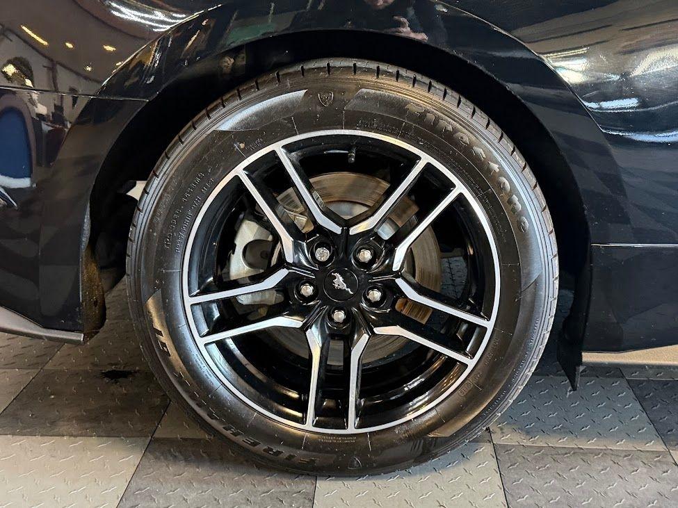 Ford Mustang GT Premium Coupe 2021
