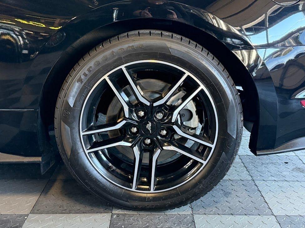 Ford Mustang GT Premium Coupe 2021