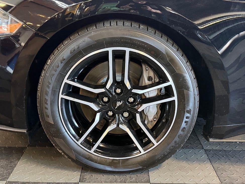 Ford Mustang GT Premium Coupe 2021