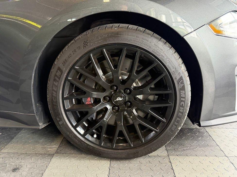 Ford Mustang GT Premium Coupe 2019